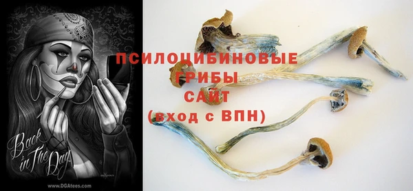 первитин Алексеевка