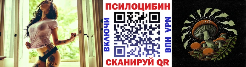 закладки мега зеркало Псилоцибиновые грибы Cubensis Верхоянск